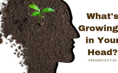 What’s Growing in Your Head? "Knowledge is like a garden: If it is not cultivated, it cannot be harvested." - African Proverb