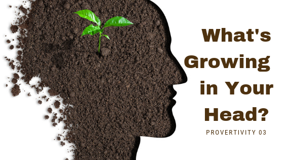 What’s Growing in Your Head? "Knowledge is like a garden: If it is not cultivated, it cannot be harvested." - African Proverb